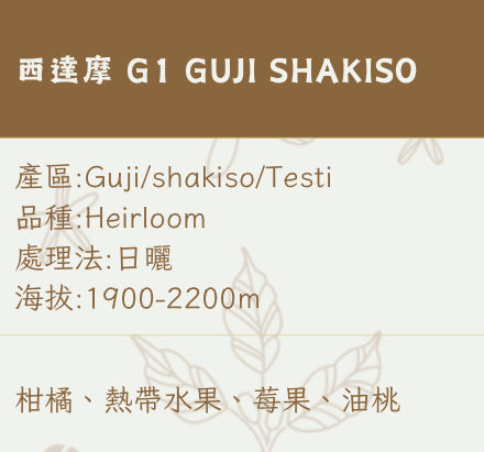埃塞俄比亞ETHIOPIA｜西達摩G1 GUJI SHAKISO
