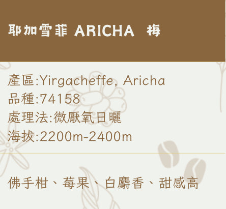埃塞俄比亞ETHIOPIA｜耶加雪菲 ARICHA 梅