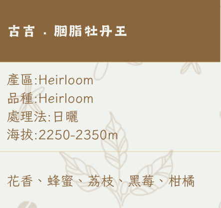 埃塞俄比亞ETHIOPIA｜古吉 · 胭脂牡丹王