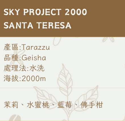 [ !!新豆!! ] 埃塞俄比亞ETHIOPIA｜ Sky Project 2000 Santa Teresa