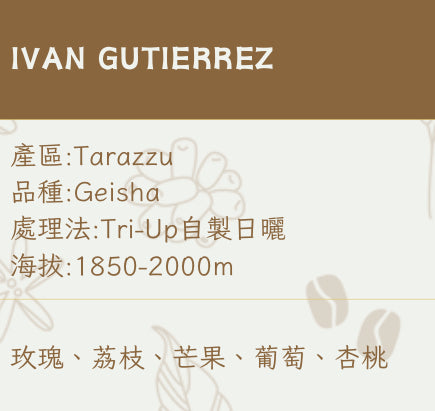 [ !!新豆!! ] 哥斯達黎加COSTA RICA｜ Ivan Gutierrez
