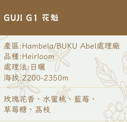 [ !!新豆!! ] 埃塞俄比亞ETHIOPIA｜ Guji G1 花魁