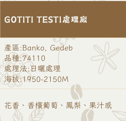 GOTITI TESTI處理廠