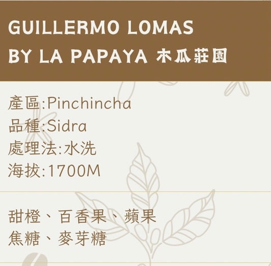 GUILLERMO LOMAS 木瓜莊園